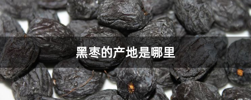 黑枣的产地是哪里 黑枣的产地是哪里