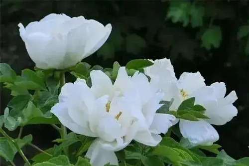 src=http___qqpublic.qpic.cn_qq_public_0_0-2327203671-0D54EFDECFDAED8AC3F98D68676CAC59_0_fmt=jpg&size=32&h=427&w=640&ppv=1.jpg&refer=http___qqpublic.qpic_副本.jpg
