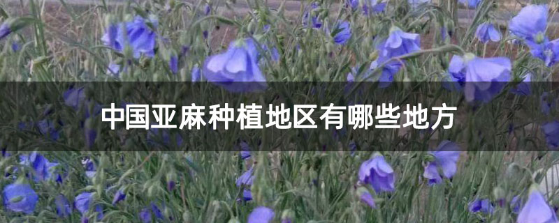 中国亚麻种植地区有哪些地方 中国亚麻种植地区有哪些地方