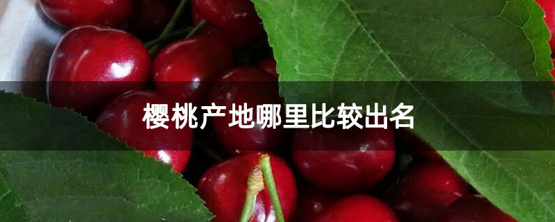 樱桃产地哪里比较出名