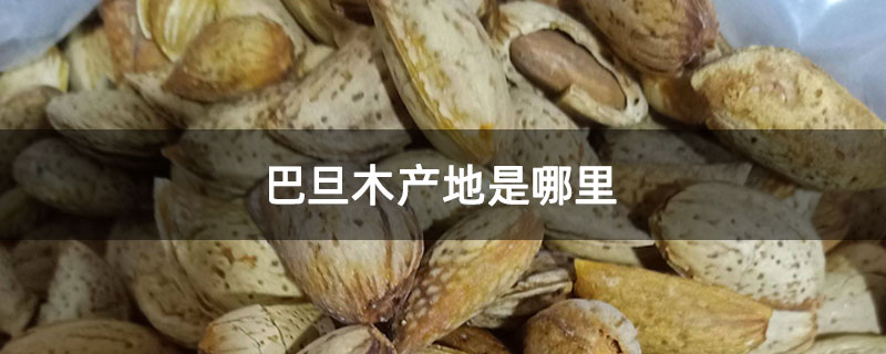 巴旦木产地是哪里