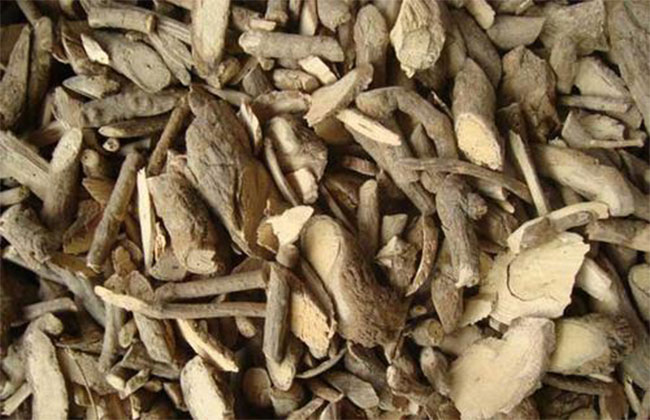 武靴藤叶能做茶吗?武靴藤的功效与作用