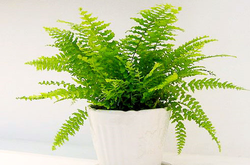 src=http___www.zhhjw.org_uploads_140711_10-140G1102F4400.jpg&refer=http___www.zhhjw_副本.jpg