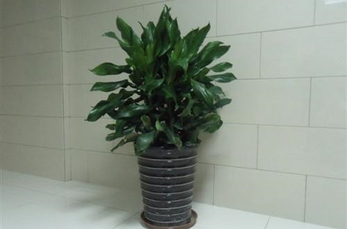 src=http___www.km365cup.com_data_upload_thumb_product_zhongxinglvzhi_5e9681a86002e.jpg&refer=http___www.km365cup_副本.jpg