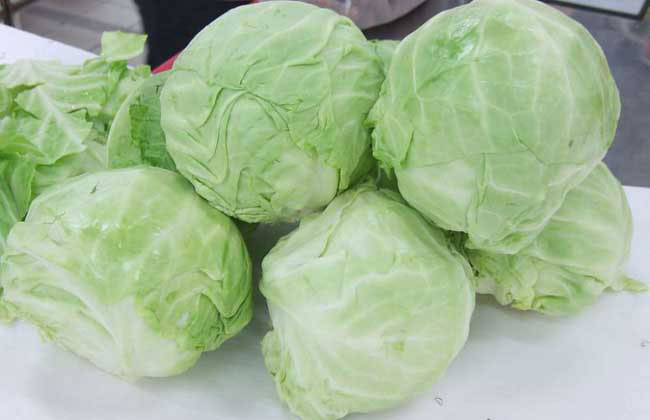 卷心菜滞销困境如何破？