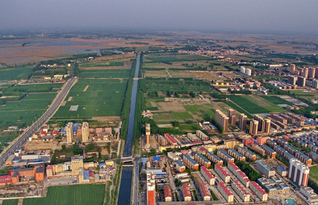造林急需用苗，雄安新区90多万亩绿化地待种植