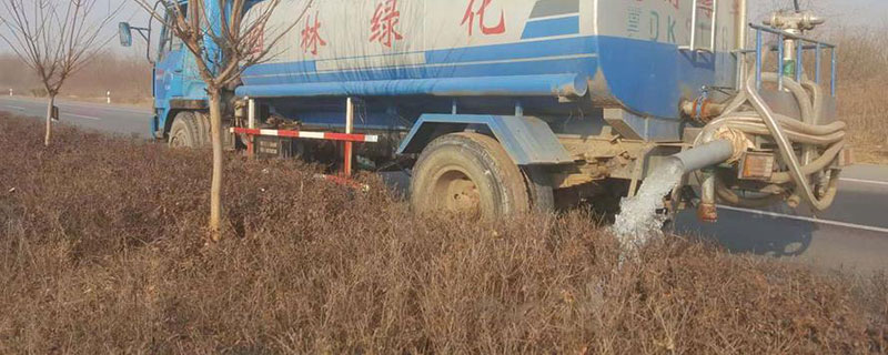 绿化植物为什么浇灌防冻水