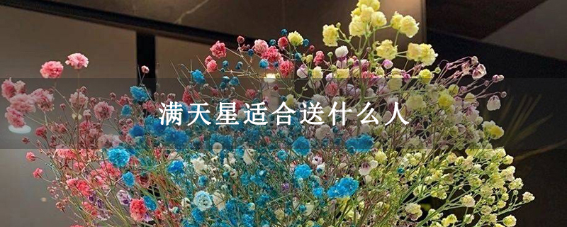 满天星适合送什么人