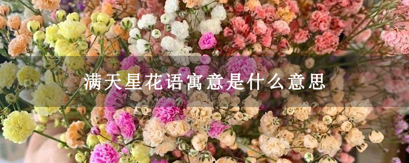 满天星花语寓意是什么意思
