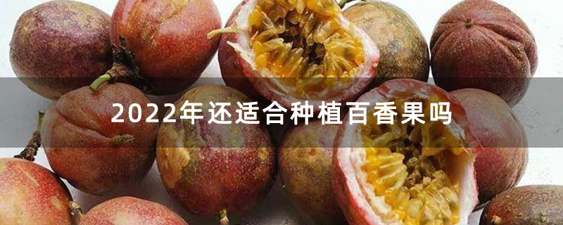 切开的百香果