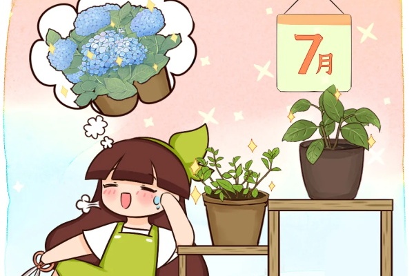 11种花，7月必须剪，剪晚了不开花！