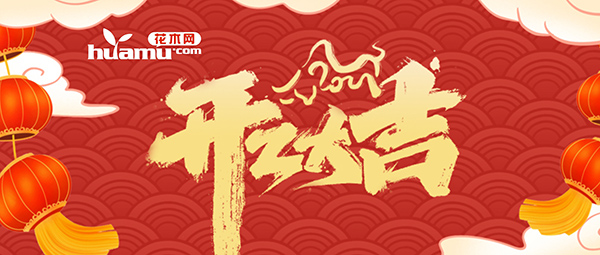 花木网祝全体苗木人开工大吉！