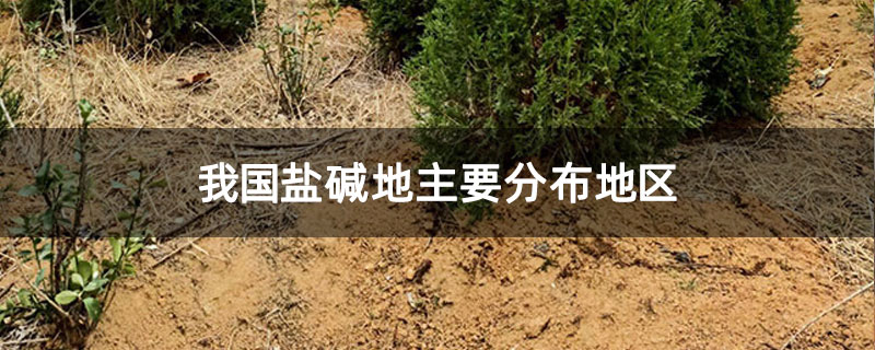我国盐碱地主要分布地区