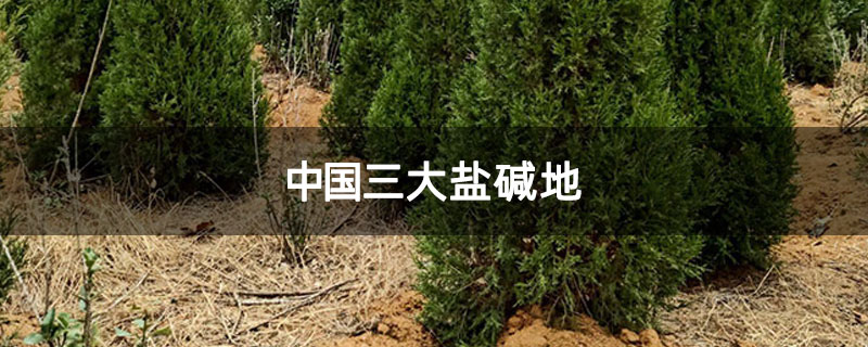 中国三大盐碱地