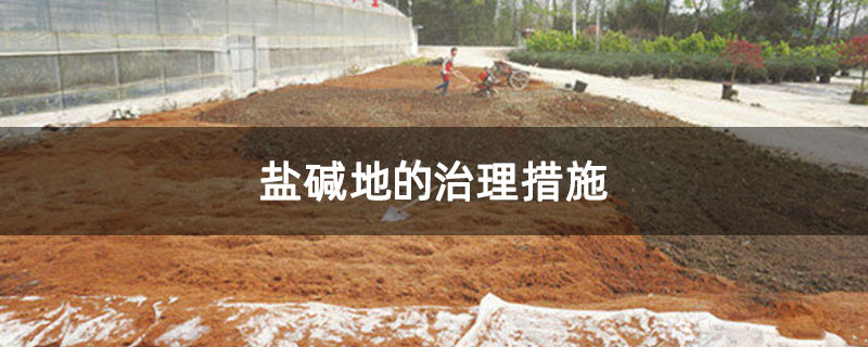 盐碱地的治理措施