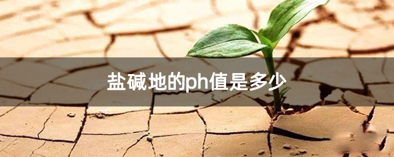盐碱地的ph值是多少