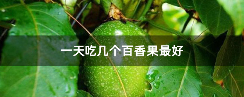 一天吃几个百香果最好