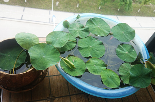 src=http___img.zcool.cn_community_01a2c256177b726ac7255b14ea053d.JPG@3000w_1l_0o_100sh.jpg&refer=http___img.zcool_副本.jpg