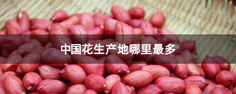 中国花生产地哪里最多