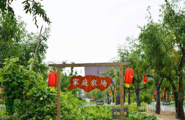 什么是家庭农场?家庭农场模式简介