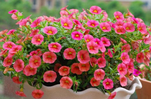 src=http___p1.itc.cn_images01_20200520_61dabd5d38f745daae74212f759f3216.jpeg&refer=http___p1.itc_副本.jpg
