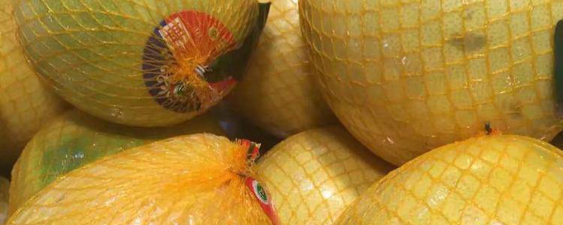 黄金蜜柚苗价格多少钱一株