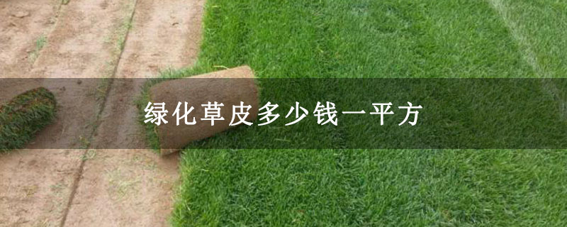 ⣼绿化草皮多少钱一平方