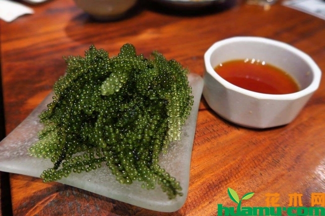 海葡萄蘸酱吃.jpg