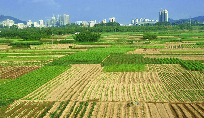 “地不种、房不住、车不开”，这种现象怎么回事?