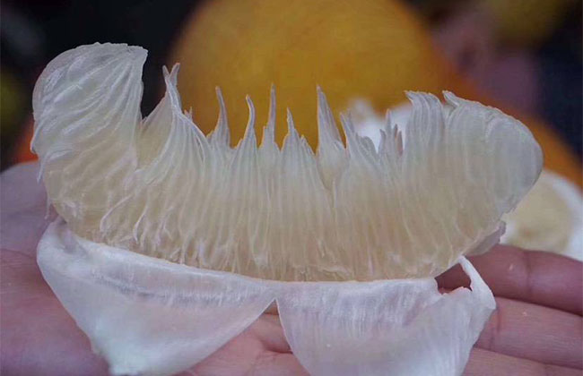 柚子成熟上市价格多少？柚子种植前景分析