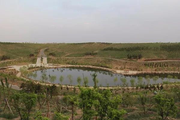 生态环境治理.jpg