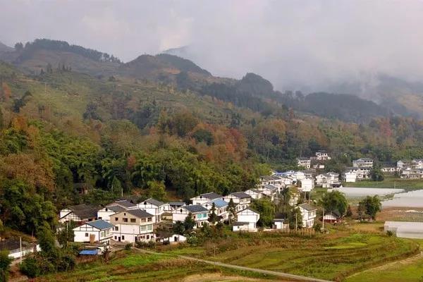 新农村建设.jpg