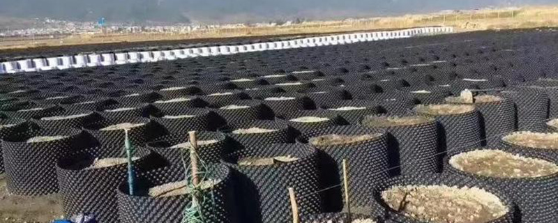 控根器种植果树有好处吗