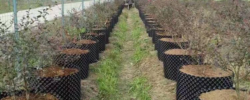 控根器作用和使用方法