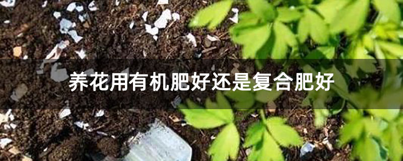 养花用有机肥好还是复合肥好
