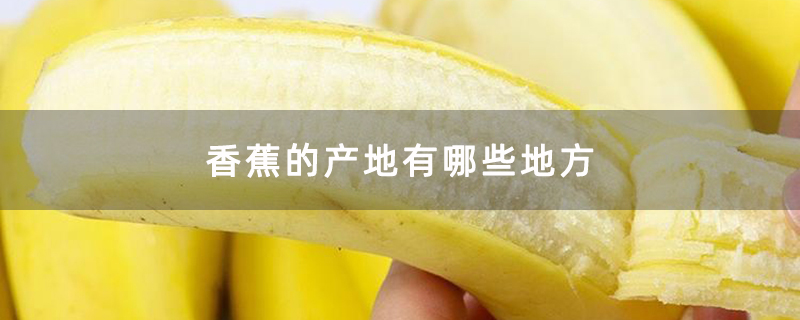 香蕉的产地有哪些地方