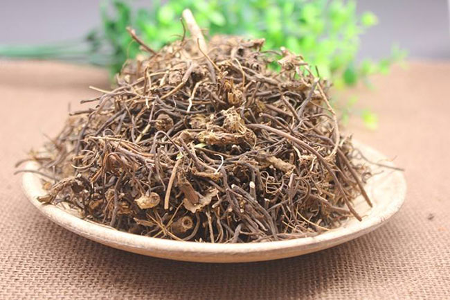 种植威灵仙前景怎么样?人工种植威灵仙亩效益和产量分析