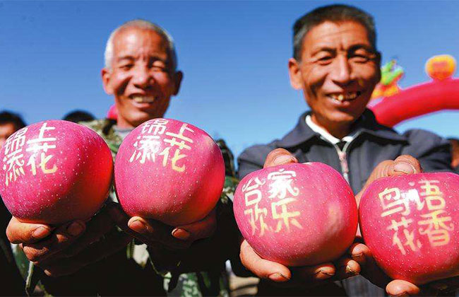 黄陵苹果