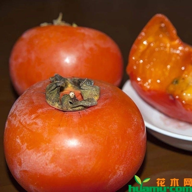 没成熟的柿子怎么催熟?哪种水果可以催熟柿子?
