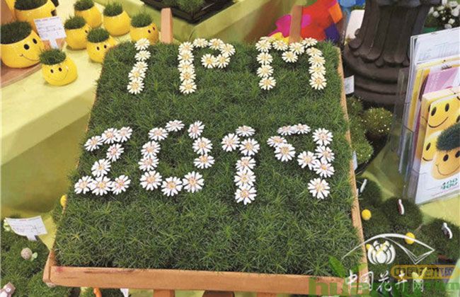 用植物做成的“IPM2019”.jpg