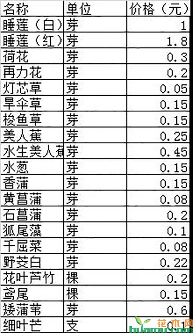 水生植物行情好转 价格借势上扬 水生植物行情好转 价格借势上扬
