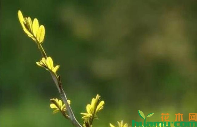提高从业者素质是破解行业瓶颈的利刃 提高从业者素质是破解行业瓶颈的利刃