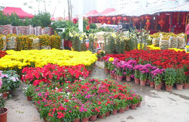 花市买花2.jpg