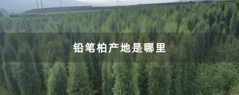 铅笔柏产地是哪里