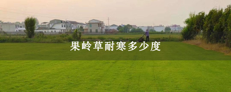 果岭草耐寒多少度