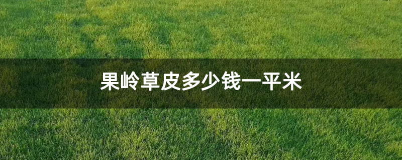 果岭草皮多少钱一平米