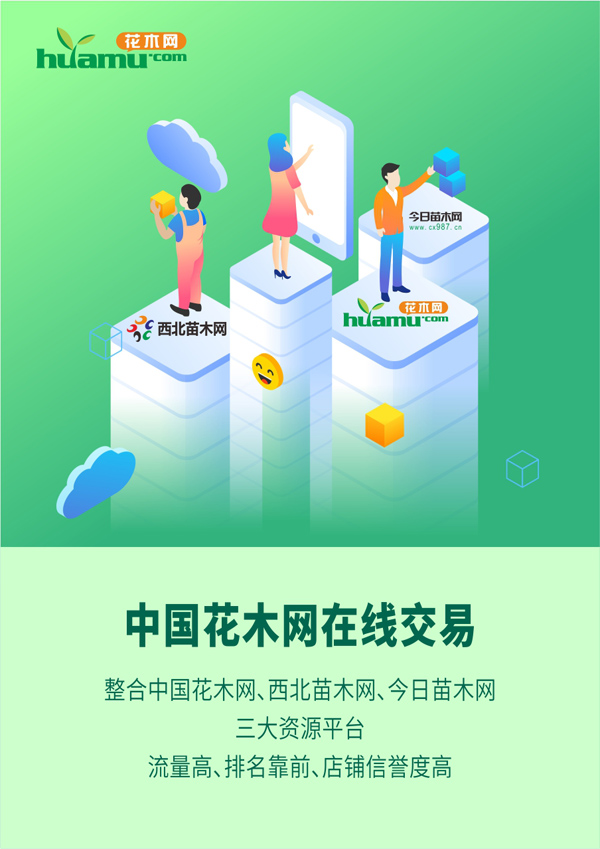 中国花木网在线交易