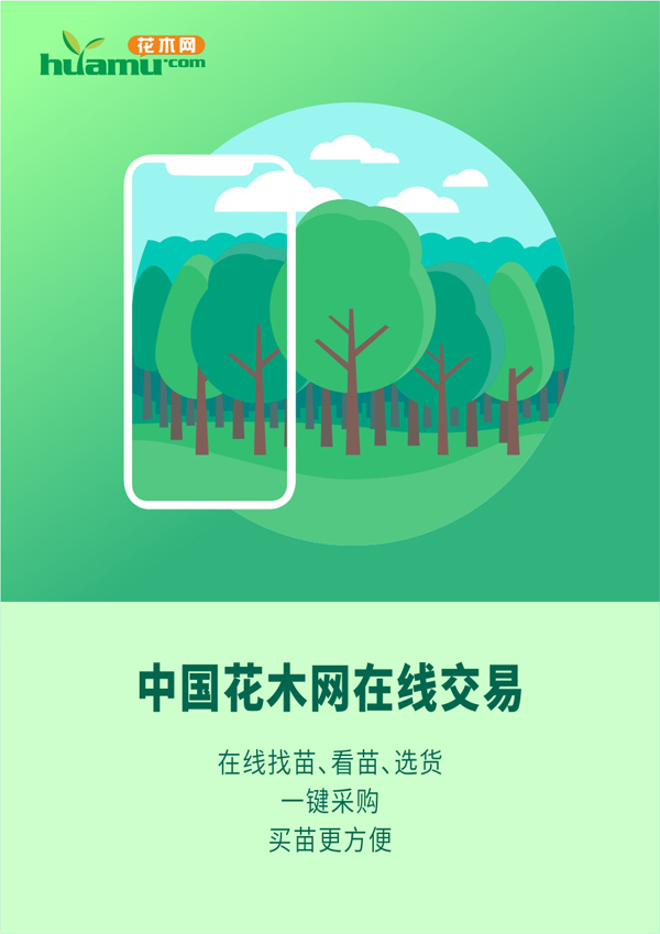 中国花木网在线交易