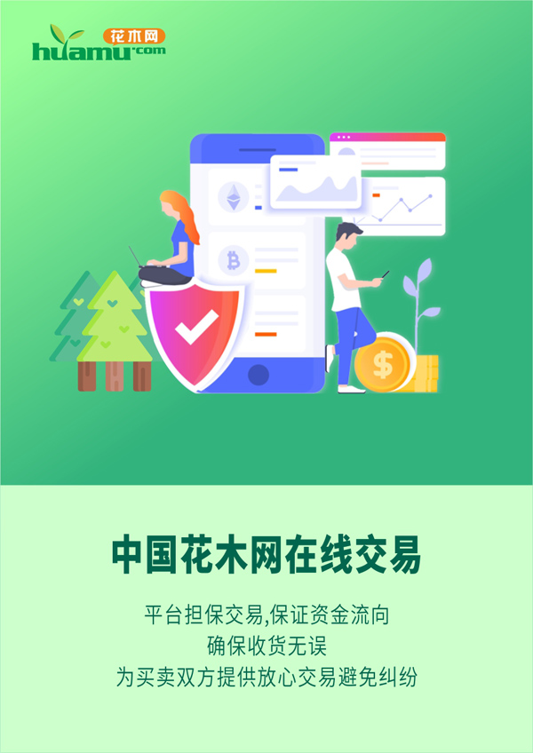 中国花木网在线交易