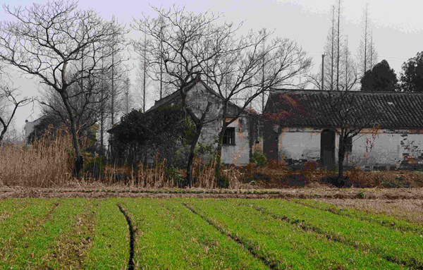 农村